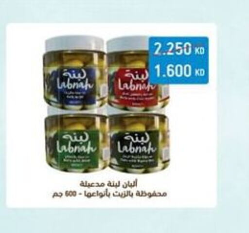  Labneh  in Al Nuzha Co-op  in Kuwait - Kuwait City