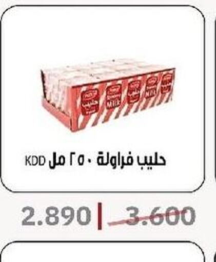 KDD Flavoured Milk  in Al- Surra Cooperative Society in Kuwait - Jahra Governorate