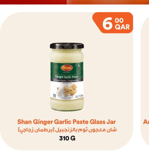 SHAN Garlic Paste  in Talabat Mart in Qatar - Al Daayen