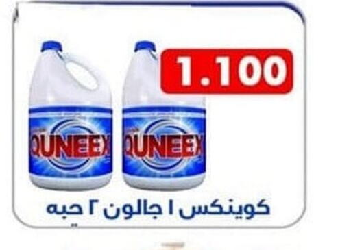 QUEENEX Bleach  in Ali Sabah Al Salem Co-op in Kuwait - Kuwait City