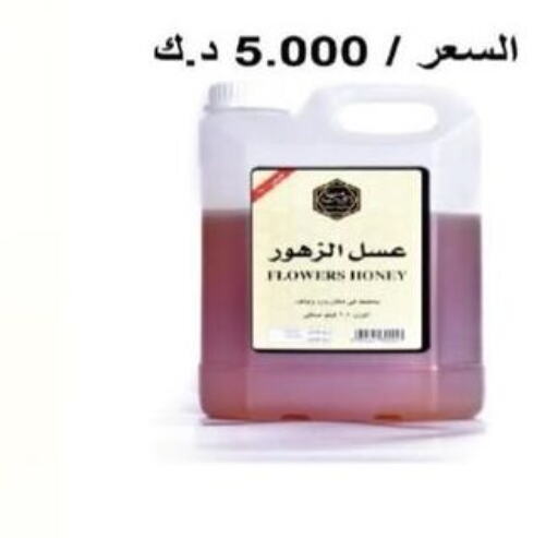  Honey  in Jleeb Coop in Kuwait - Kuwait City