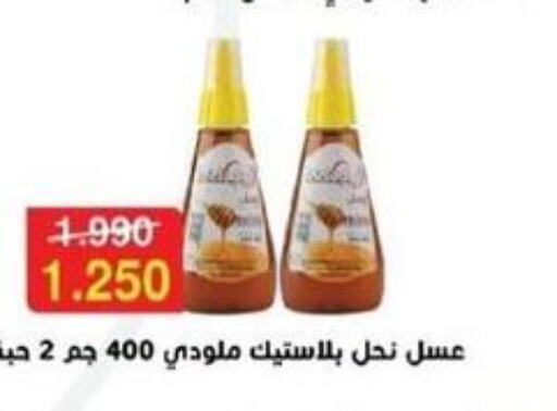  Honey  in Jleeb Coop in Kuwait - Kuwait City