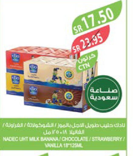 NADEC Long Life / UHT Milk  in Farm  in KSA, Saudi Arabia, Saudi - Qatif