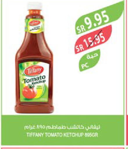 TIFFANY Tomato Ketchup  in Farm  in KSA, Saudi Arabia, Saudi - Saihat