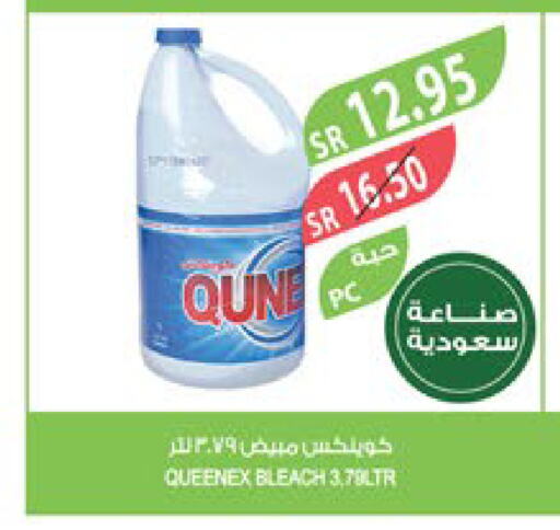 QUEENEX مبيض  in المزرعة in مملكة العربية السعودية, السعودية, سعودية - الجبيل‎