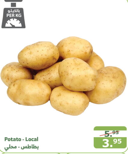  Potato  in Al Raya in KSA, Saudi Arabia, Saudi - Jeddah