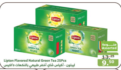 Lipton Tea Bags  in Al Raya in KSA, Saudi Arabia, Saudi - Jazan