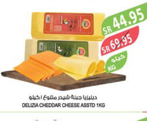  Cheddar Cheese  in Farm  in KSA, Saudi Arabia, Saudi - Abha