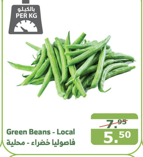  Beans  in Al Raya in KSA, Saudi Arabia, Saudi - Ta'if