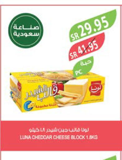 LUNA Cheddar Cheese  in Farm  in KSA, Saudi Arabia, Saudi - Saihat