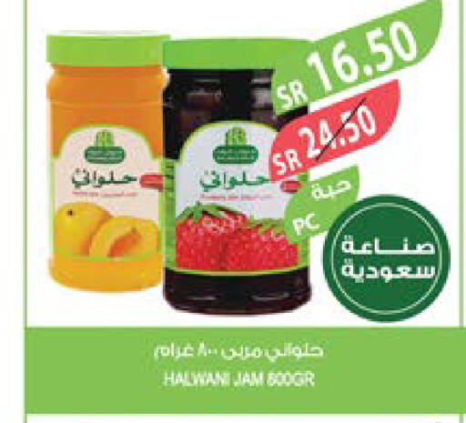  Jam  in Farm  in KSA, Saudi Arabia, Saudi - Jazan