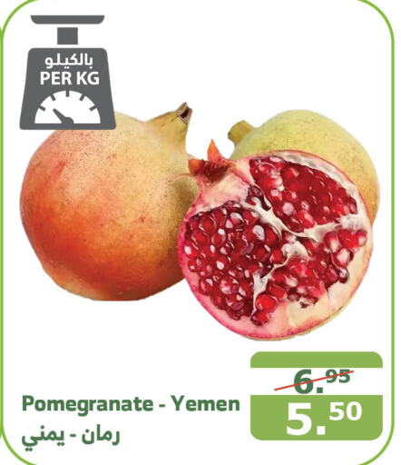  Pomegranate  in Al Raya in KSA, Saudi Arabia, Saudi - Yanbu