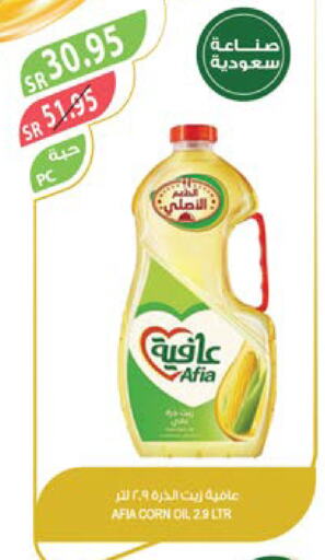 AFIA Corn Oil  in Farm  in KSA, Saudi Arabia, Saudi - Arar