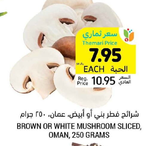  Mushroom  in أسواق التميمي in مملكة العربية السعودية, السعودية, سعودية - سيهات