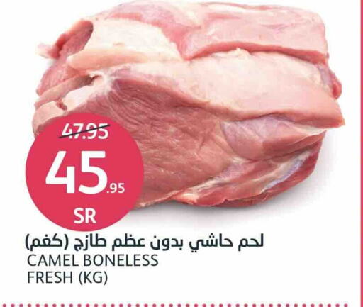  Camel meat  in AlJazera Shopping Center in KSA, Saudi Arabia, Saudi - Riyadh