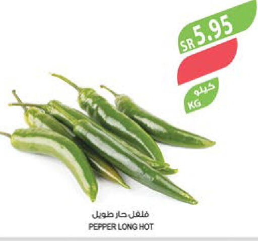  Chilli / Capsicum  in المزرعة in مملكة العربية السعودية, السعودية, سعودية - نجران