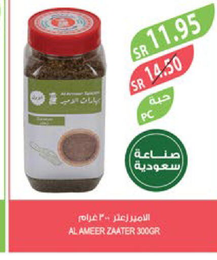  Spices  in Farm  in KSA, Saudi Arabia, Saudi - Jazan