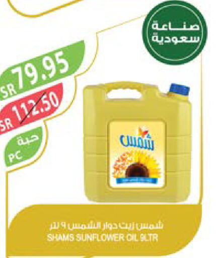 SHAMS Sunflower Oil  in Farm  in KSA, Saudi Arabia, Saudi - Al Bahah