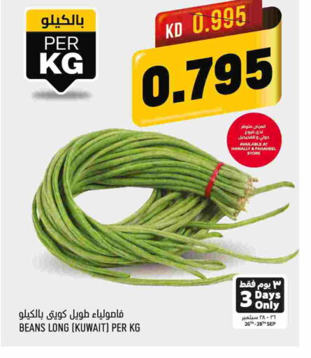  Beans  in Oncost in Kuwait - Kuwait City