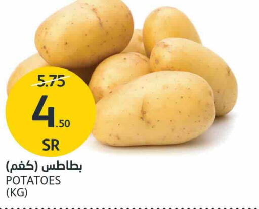  Potato  in مركز الجزيرة للتسوق in مملكة العربية السعودية, السعودية, سعودية - الرياض