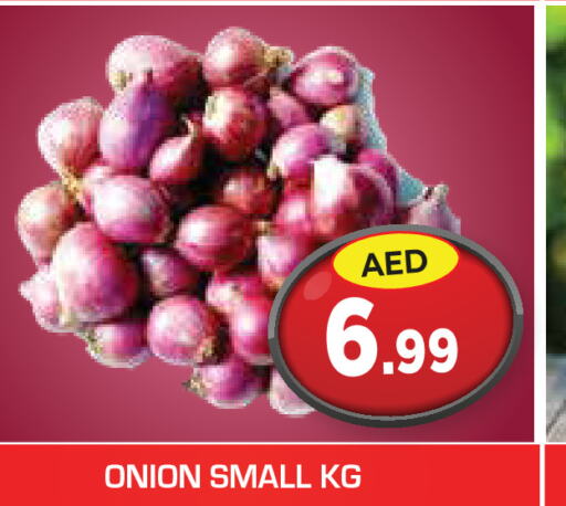  Onion  in سنابل بني ياس in الإمارات العربية المتحدة , الامارات - رَأْس ٱلْخَيْمَة