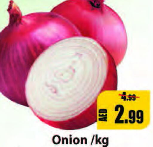  Onion  in ليبتس هايبرماركت in الإمارات العربية المتحدة , الامارات - رَأْس ٱلْخَيْمَة