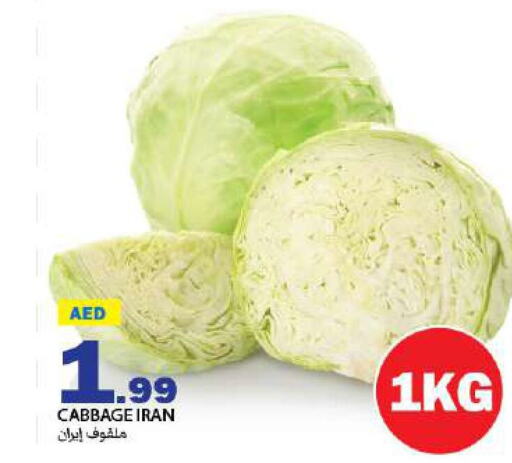  Cabbage  in  روابي ماركت عجمان in الإمارات العربية المتحدة , الامارات - الشارقة / عجمان