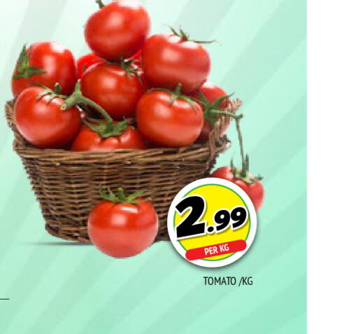  Tomato  in المدينة in الإمارات العربية المتحدة , الامارات - الشارقة / عجمان