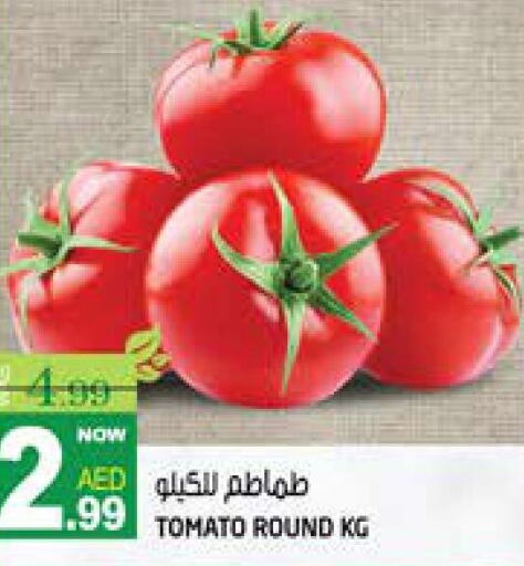  Tomato  in هاشم هايبرماركت in الإمارات العربية المتحدة , الامارات - الشارقة / عجمان