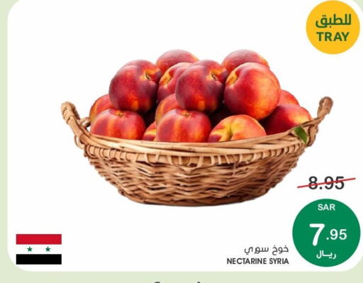  Peach  in Mazaya in KSA, Saudi Arabia, Saudi - Dammam