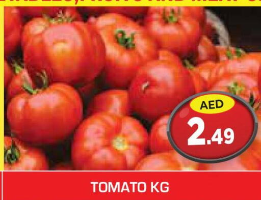  Tomato  in سنابل بني ياس in الإمارات العربية المتحدة , الامارات - ٱلْعَيْن‎