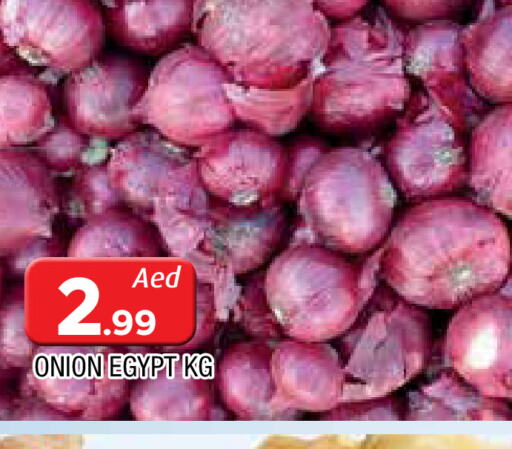  Onion  in المدينة in الإمارات العربية المتحدة , الامارات - الشارقة / عجمان