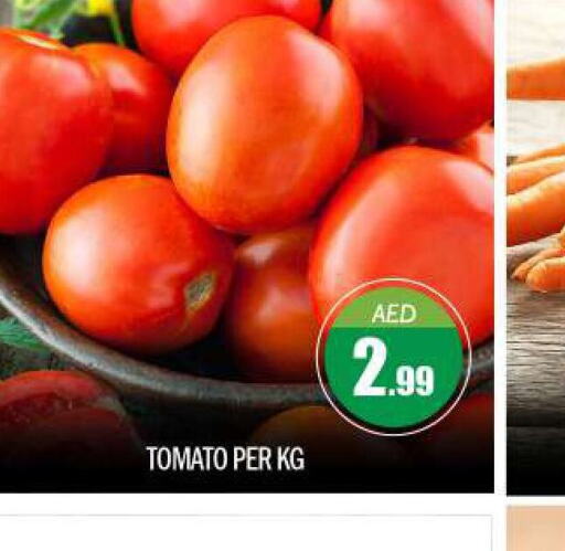  Tomato  in بيج مارت in الإمارات العربية المتحدة , الامارات - أبو ظبي