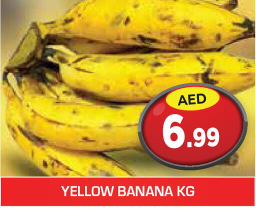  Banana  in Baniyas Spike  in UAE - Ras al Khaimah