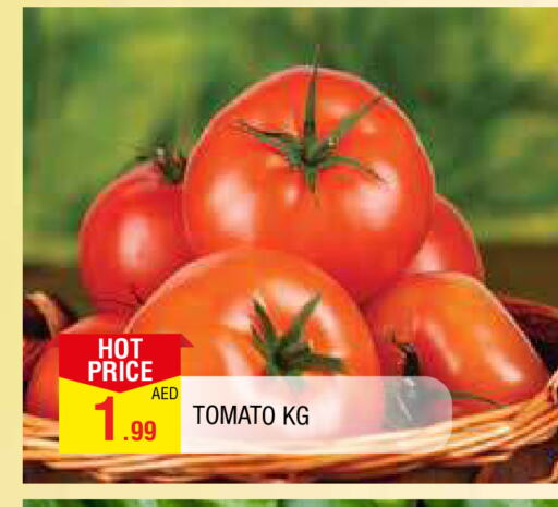  Tomato  in المدينة in الإمارات العربية المتحدة , الامارات - الشارقة / عجمان