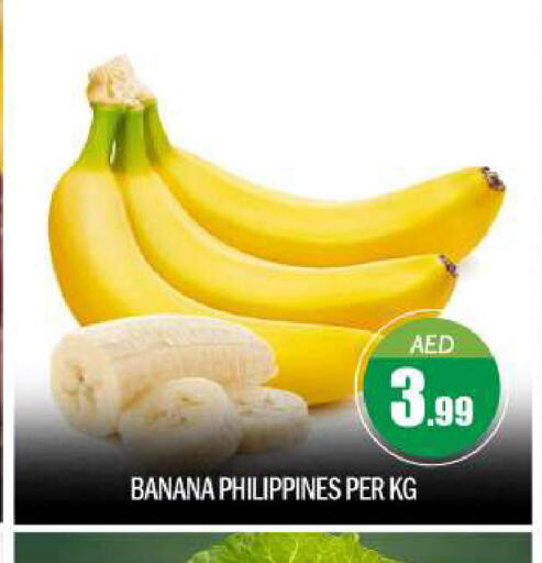  Banana  in BIGmart in UAE - Abu Dhabi