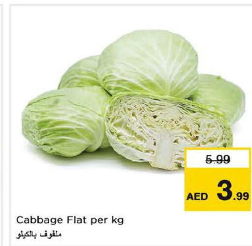  Cabbage  in نستو هايبرماركت in الإمارات العربية المتحدة , الامارات - ٱلْفُجَيْرَة‎