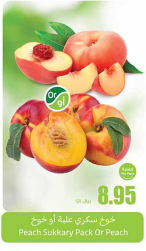  Peach  in Othaim Markets in KSA, Saudi Arabia, Saudi - Ar Rass