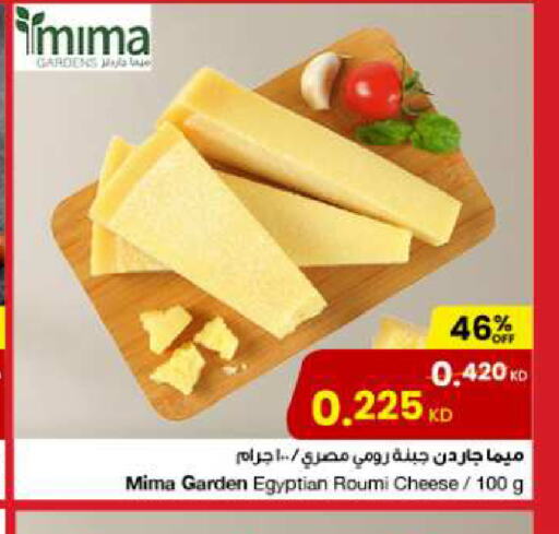  Roumy Cheese  in The Sultan Center in Kuwait - Jahra Governorate