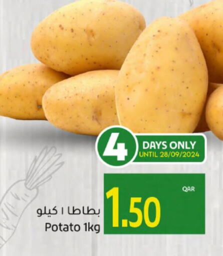  Potato  in جلف فود سنتر in قطر - الوكرة