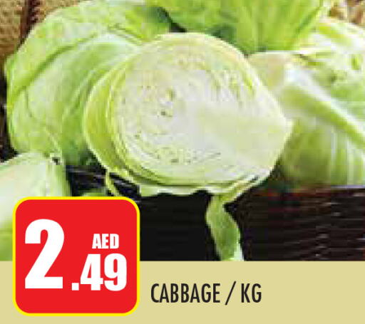  Cabbage  in Baniyas Spike  in UAE - Abu Dhabi