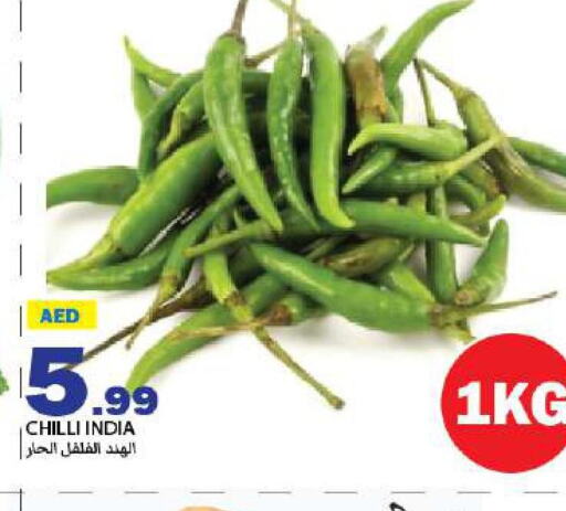  Chilli / Capsicum  in  روابي ماركت عجمان in الإمارات العربية المتحدة , الامارات - الشارقة / عجمان