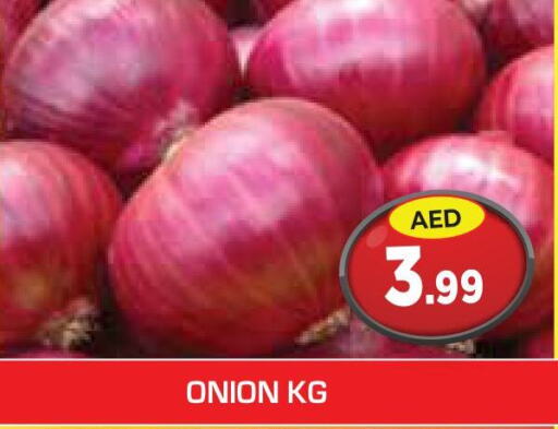  Onion  in سنابل بني ياس in الإمارات العربية المتحدة , الامارات - ٱلْعَيْن‎