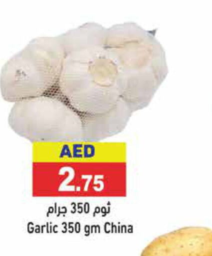  Garlic  in أسواق رامز in الإمارات العربية المتحدة , الامارات - أبو ظبي