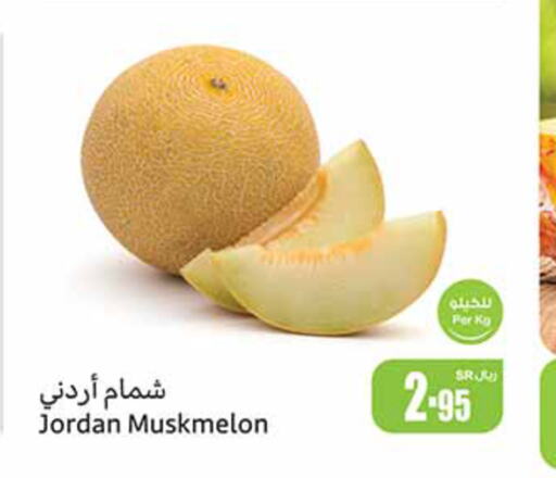  Sweet melon  in Othaim Markets in KSA, Saudi Arabia, Saudi - Najran