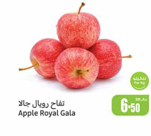  Apples  in Othaim Markets in KSA, Saudi Arabia, Saudi - Qatif