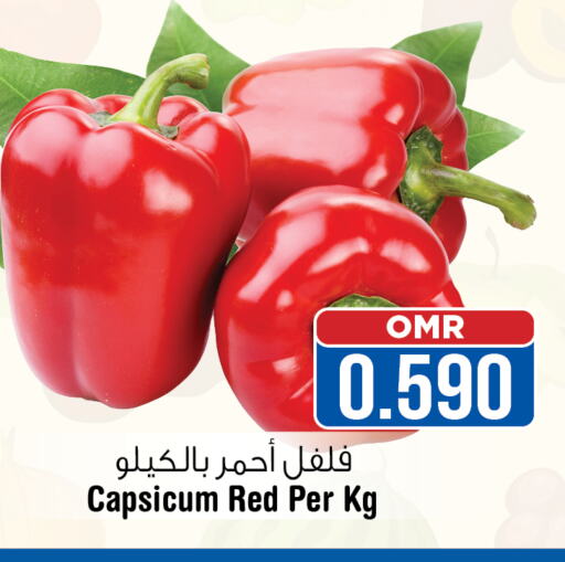  Chilli / Capsicum  in Last Chance in Oman - Muscat