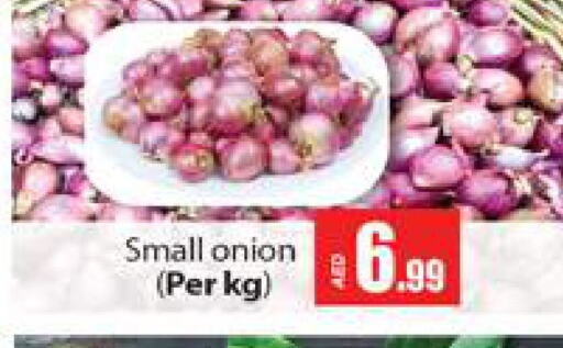 Onion