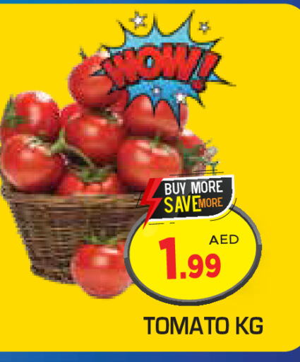  Tomato  in سنابل بني ياس in الإمارات العربية المتحدة , الامارات - الشارقة / عجمان