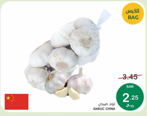  Garlic  in  مـزايــا in مملكة العربية السعودية, السعودية, سعودية - القطيف‎